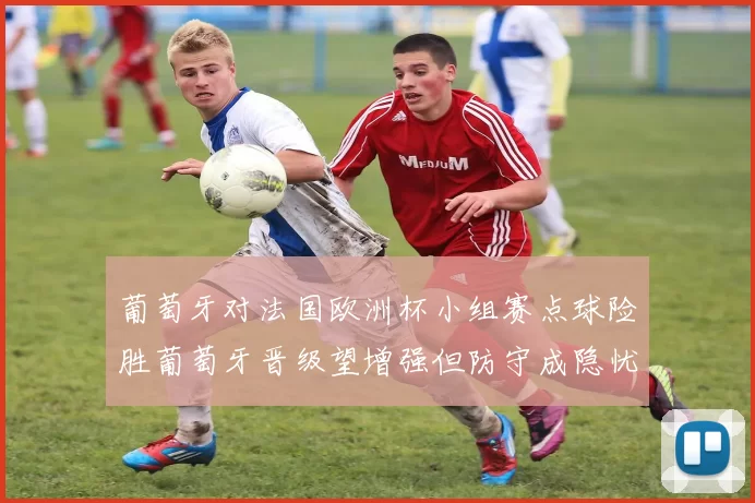 葡萄牙对法国欧洲杯小组赛点球险胜葡萄牙晋级望增强但防守成隐忧