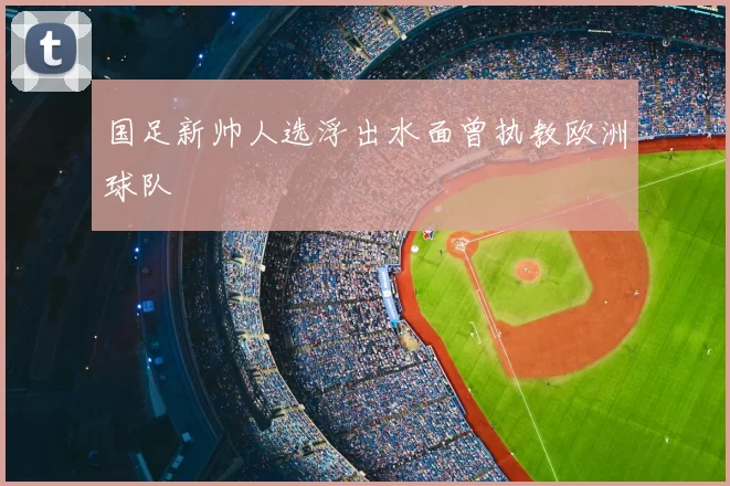 国足新帅人选浮出水面曾执教欧洲球队