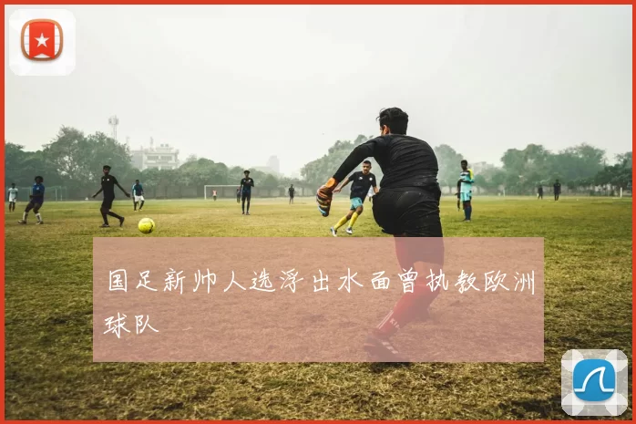 国足新帅人选浮出水面曾执教欧洲球队